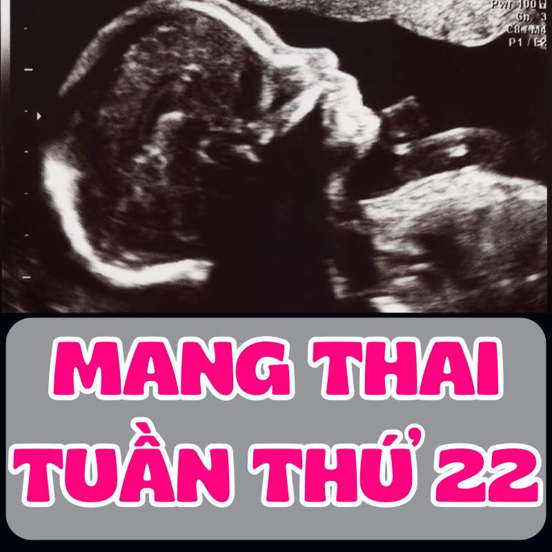 Thai nhi tuần thứ 22 qua hình ảnh siêu âm